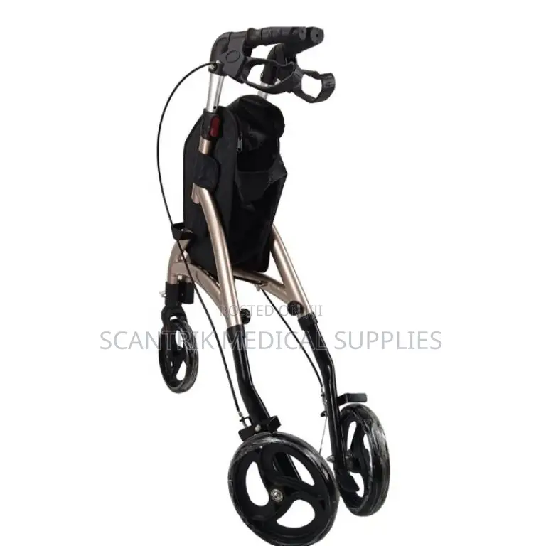 Tri-Wheel Gait Walker