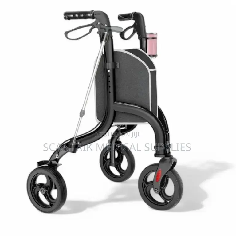 Three-Wheel Outdoor Walker