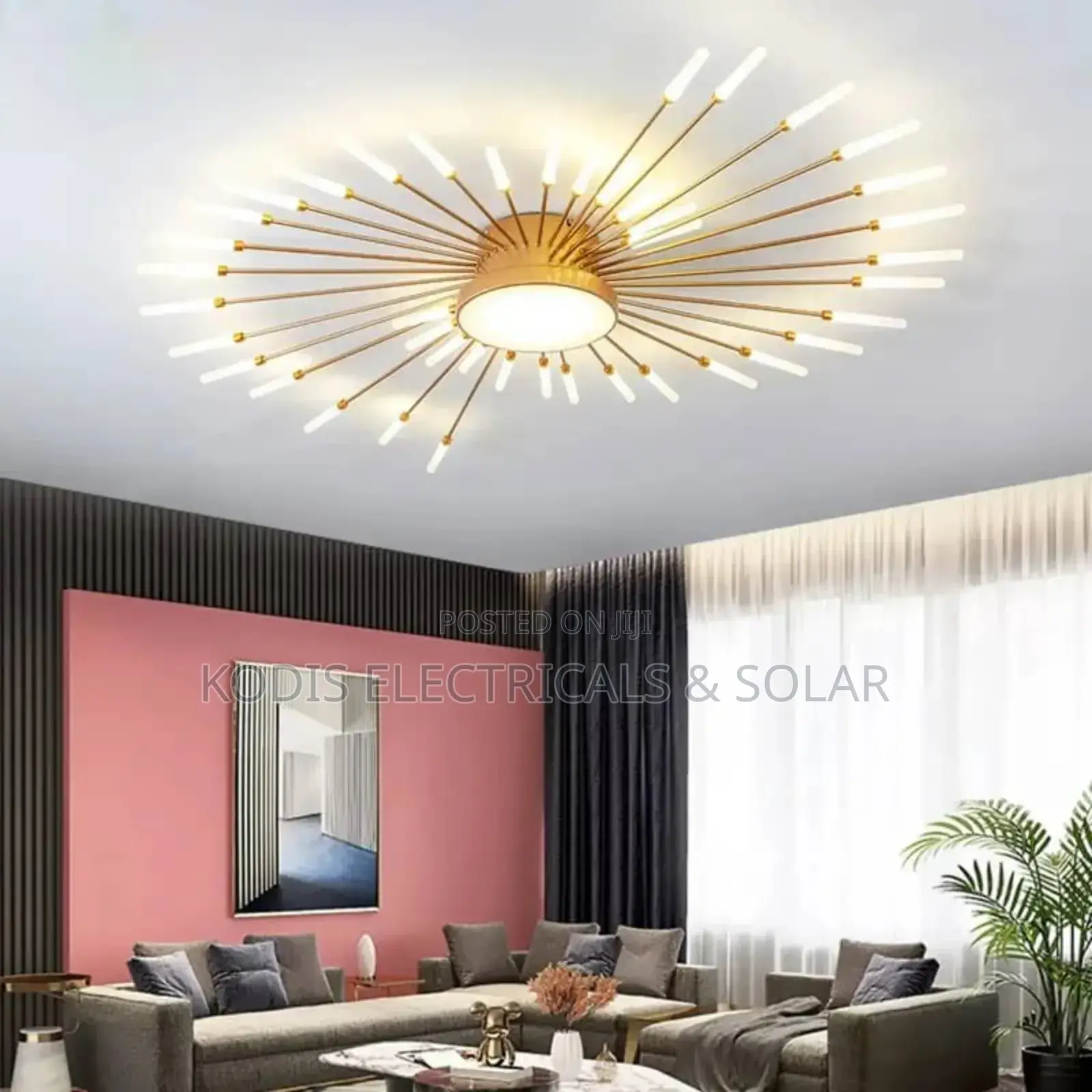 Luxurious Ceiling Light