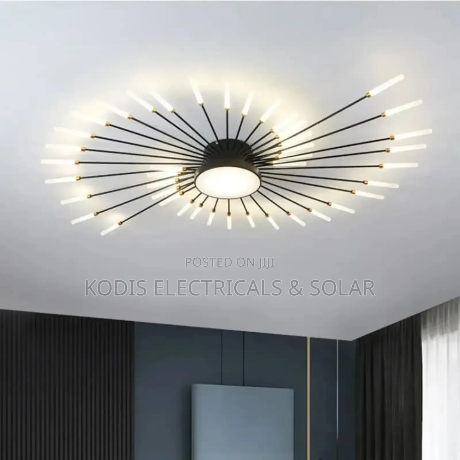 Luxurious Ceiling Light