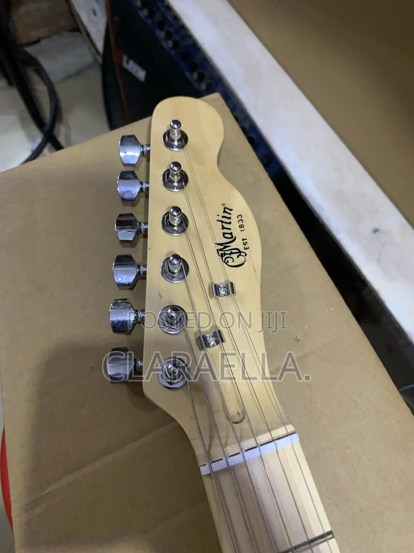 Epiphone Telecaster, a Semi-Hollow Body Electric Guitar