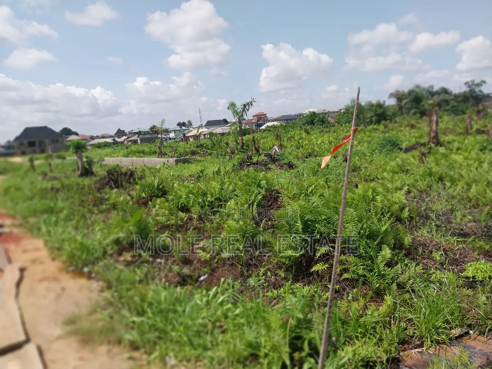 2 Plots of Land Ijegun-Ijegemo by Tailor Gasplant