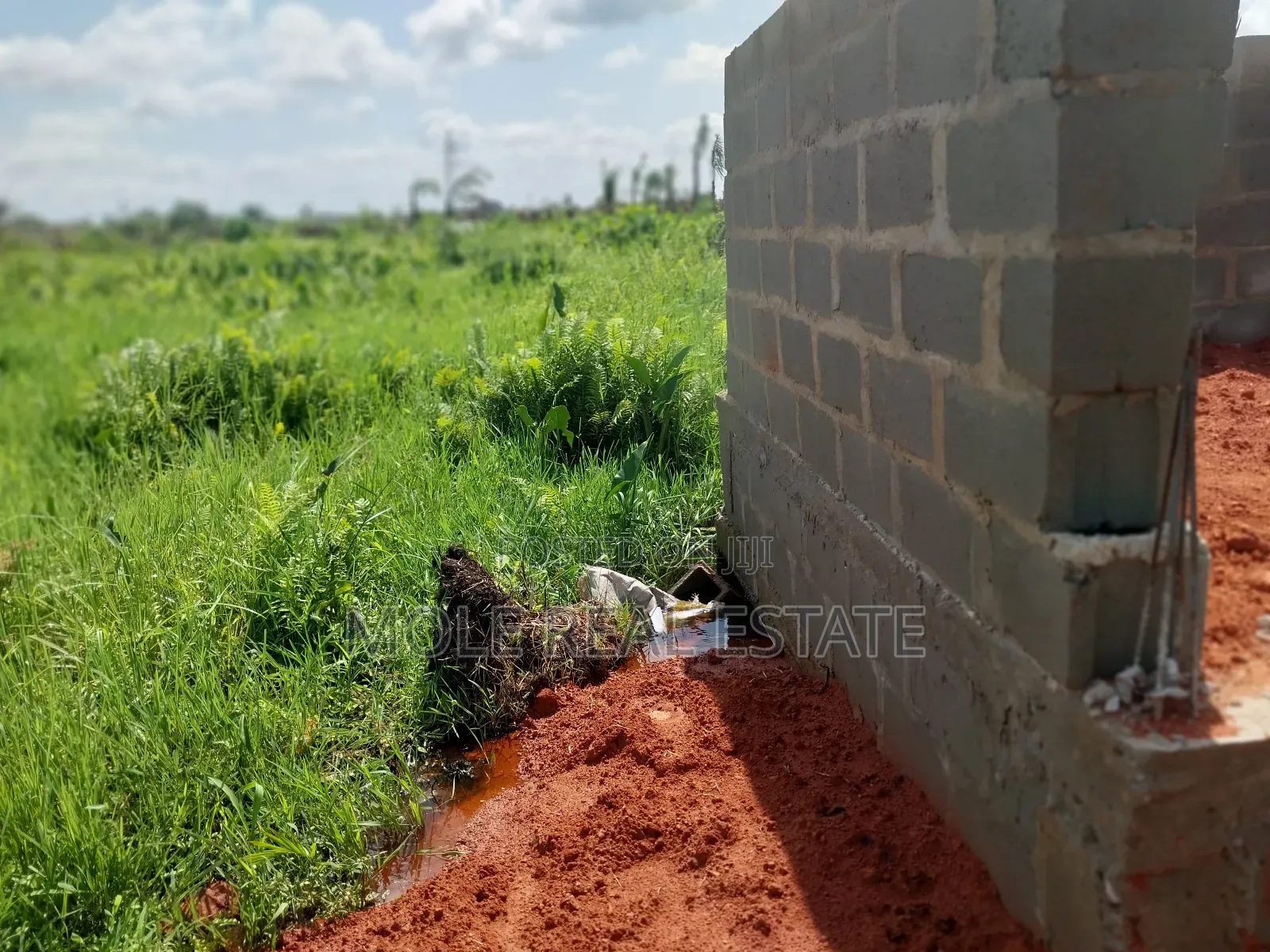 2 Plots of Land Ijegun-Ijegemo by Tailor Gasplant