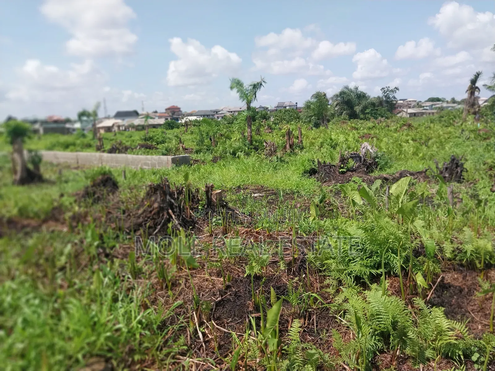 Half Plot of Land Dwarf Fenced New Ijegun Ijegemo High Way