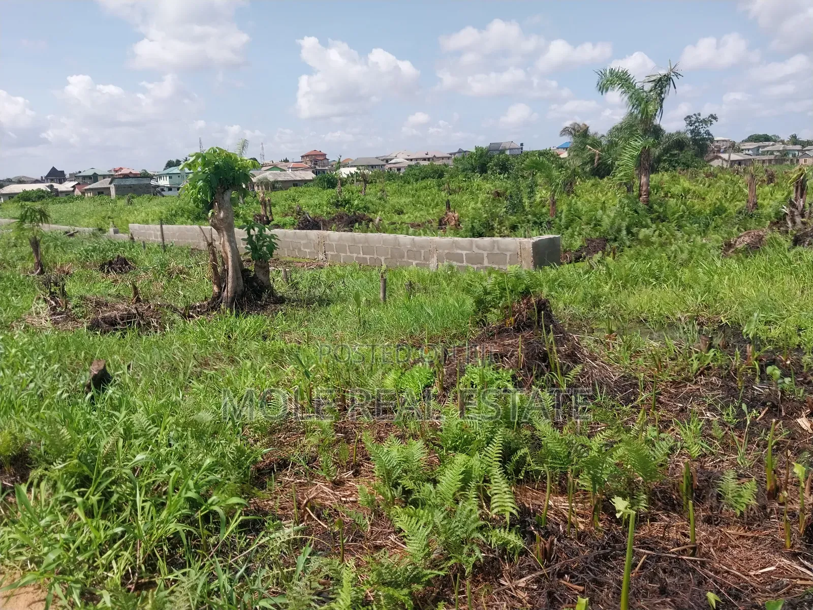 Half Plot of Land Dwarf Fenced New Ijegun Ijegemo High Way