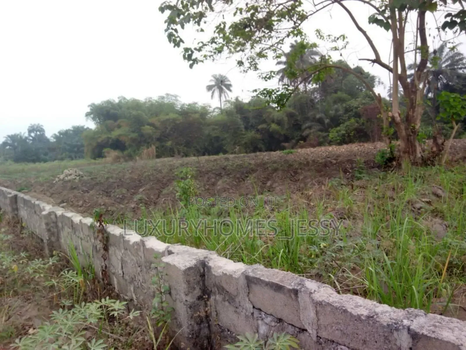Distress Land for Sale at Atani/ Ogbaru Expressway Anambra