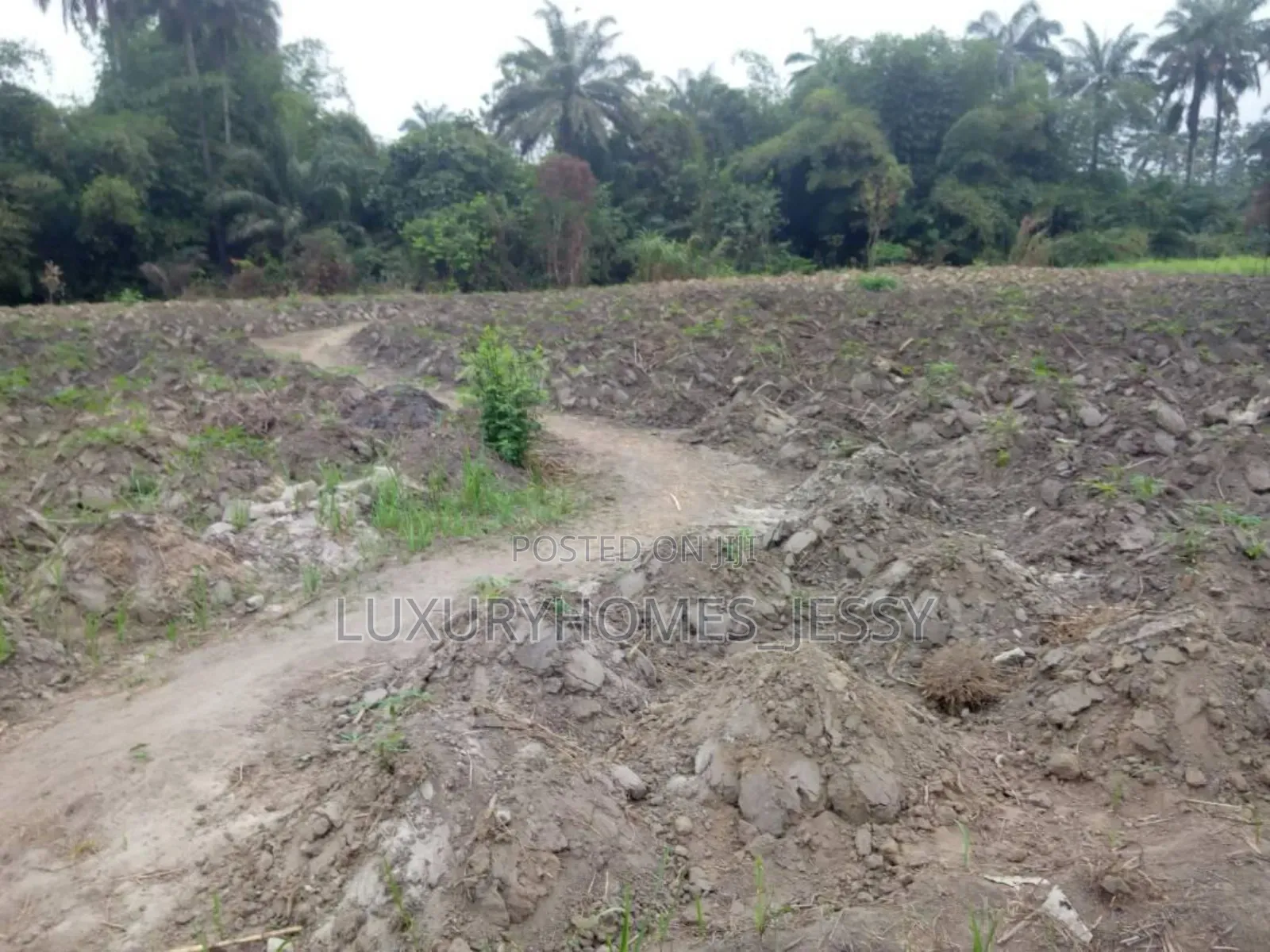 Distress Land for Sale at Atani/ Ogbaru Expressway Anambra