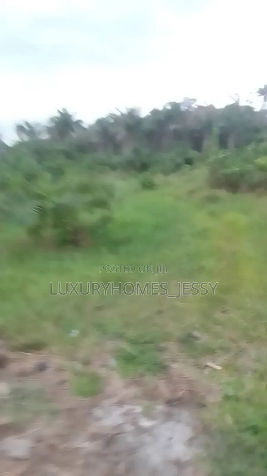 Distress Land for Sale at Atani/ Ogbaru Expressway Anambra