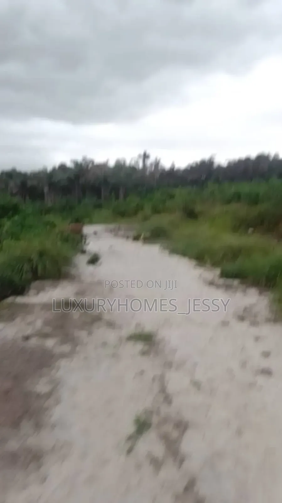 Distress Land for Sale at Atani/ Ogbaru Expressway Anambra