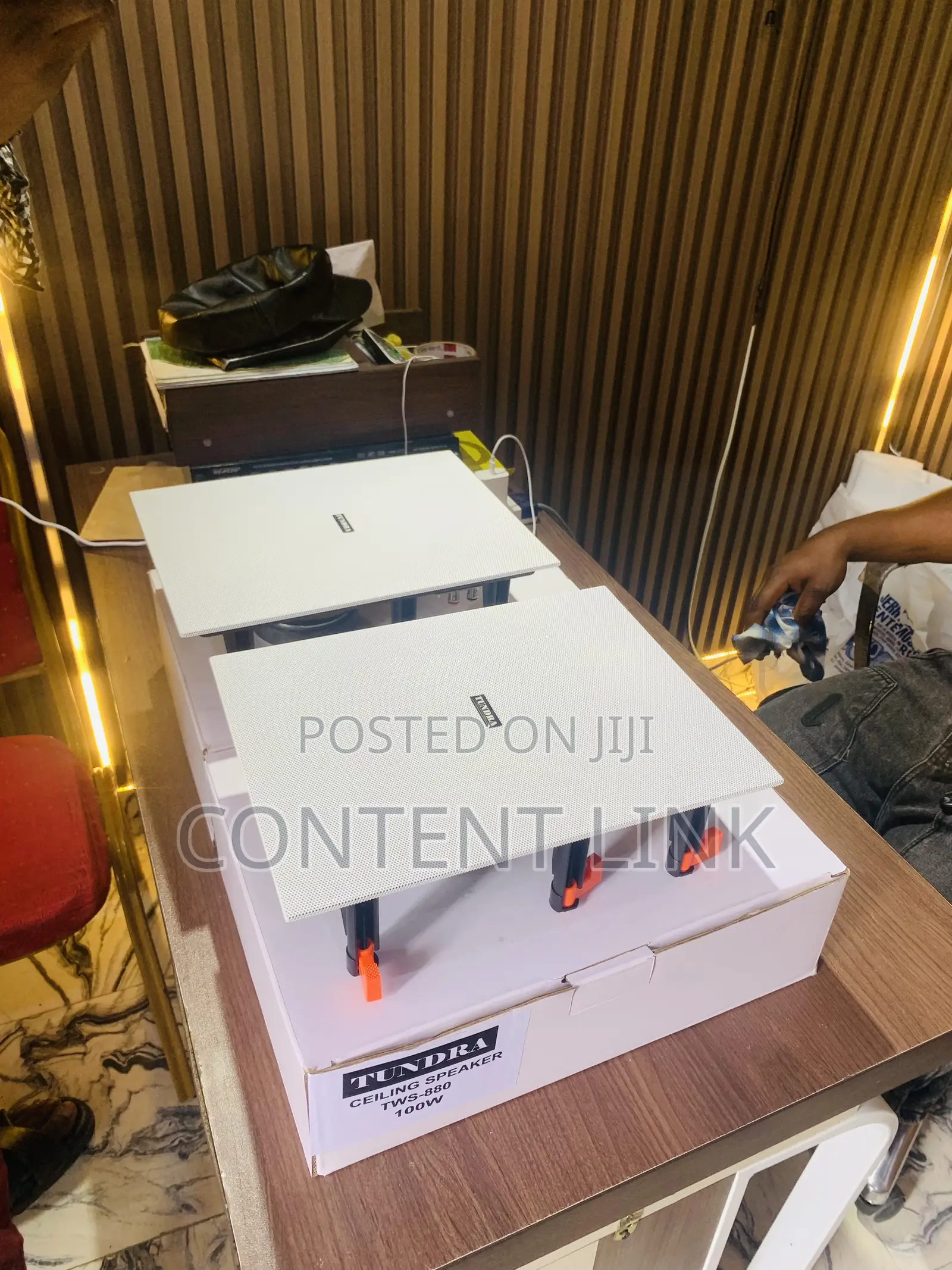 2 In 1 Cinema Inwall Speakers