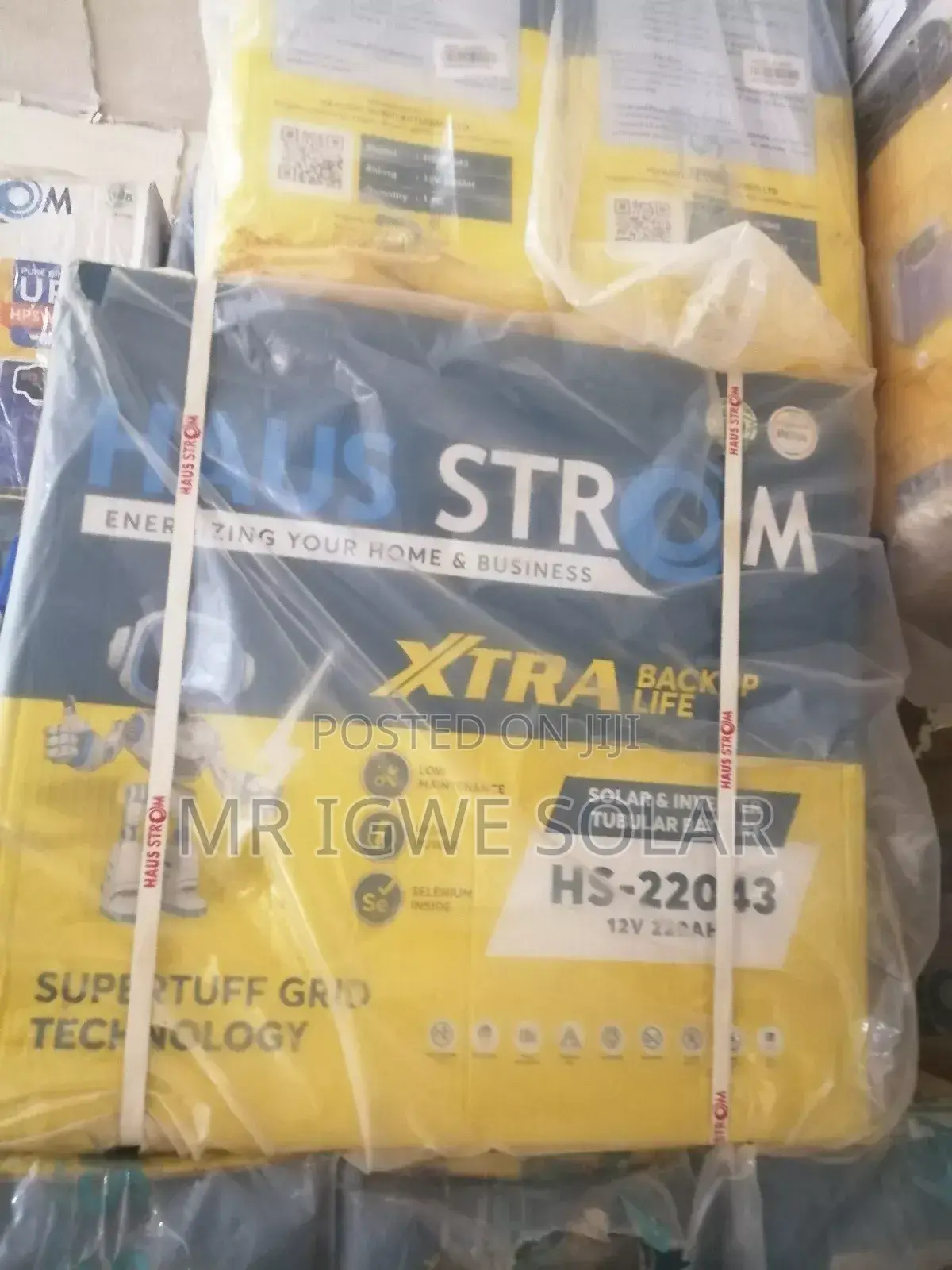 Haustron Tubular Battery