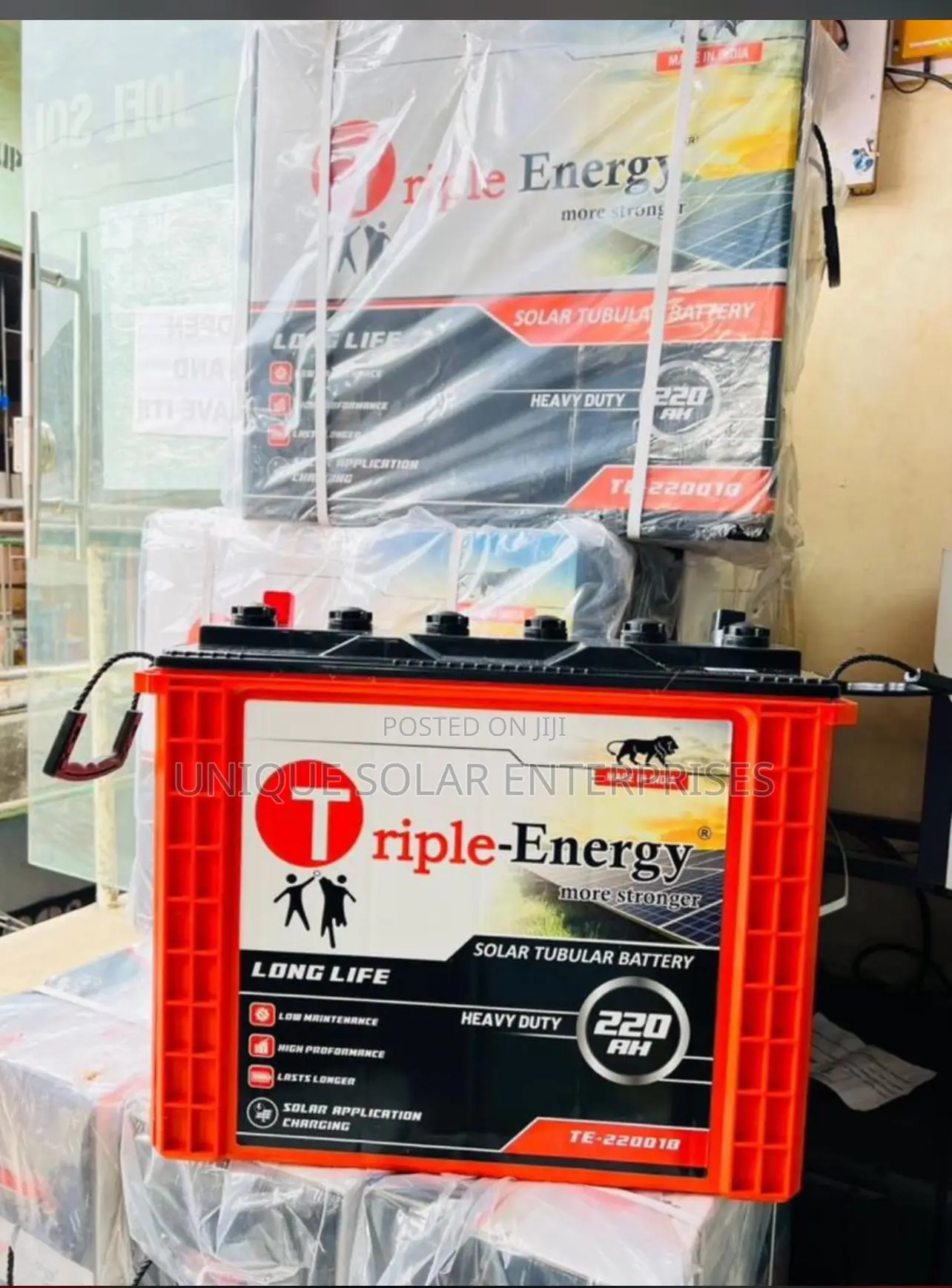 Triple Energy 220amps Tubular Battery