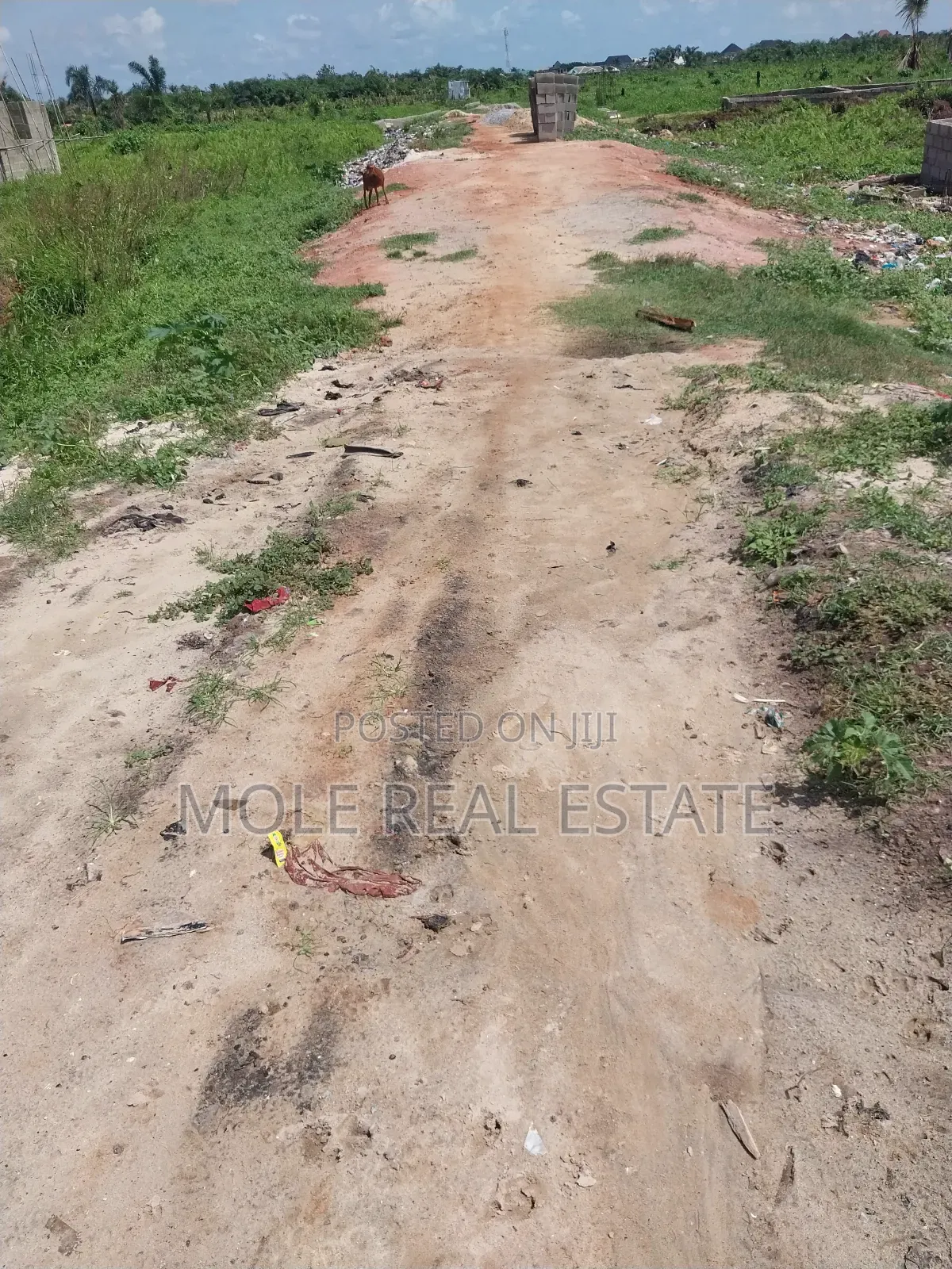 Filling Station 4 Sale Itire Road Mushin Lagos