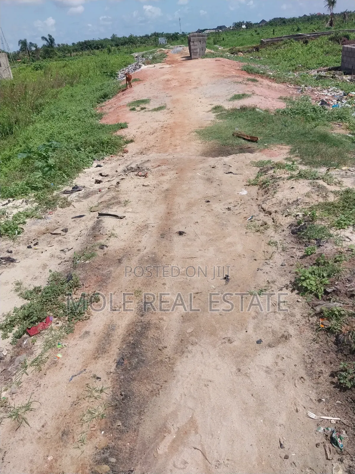 Filling Station 4 Sale Itire Road Mushin Lagos