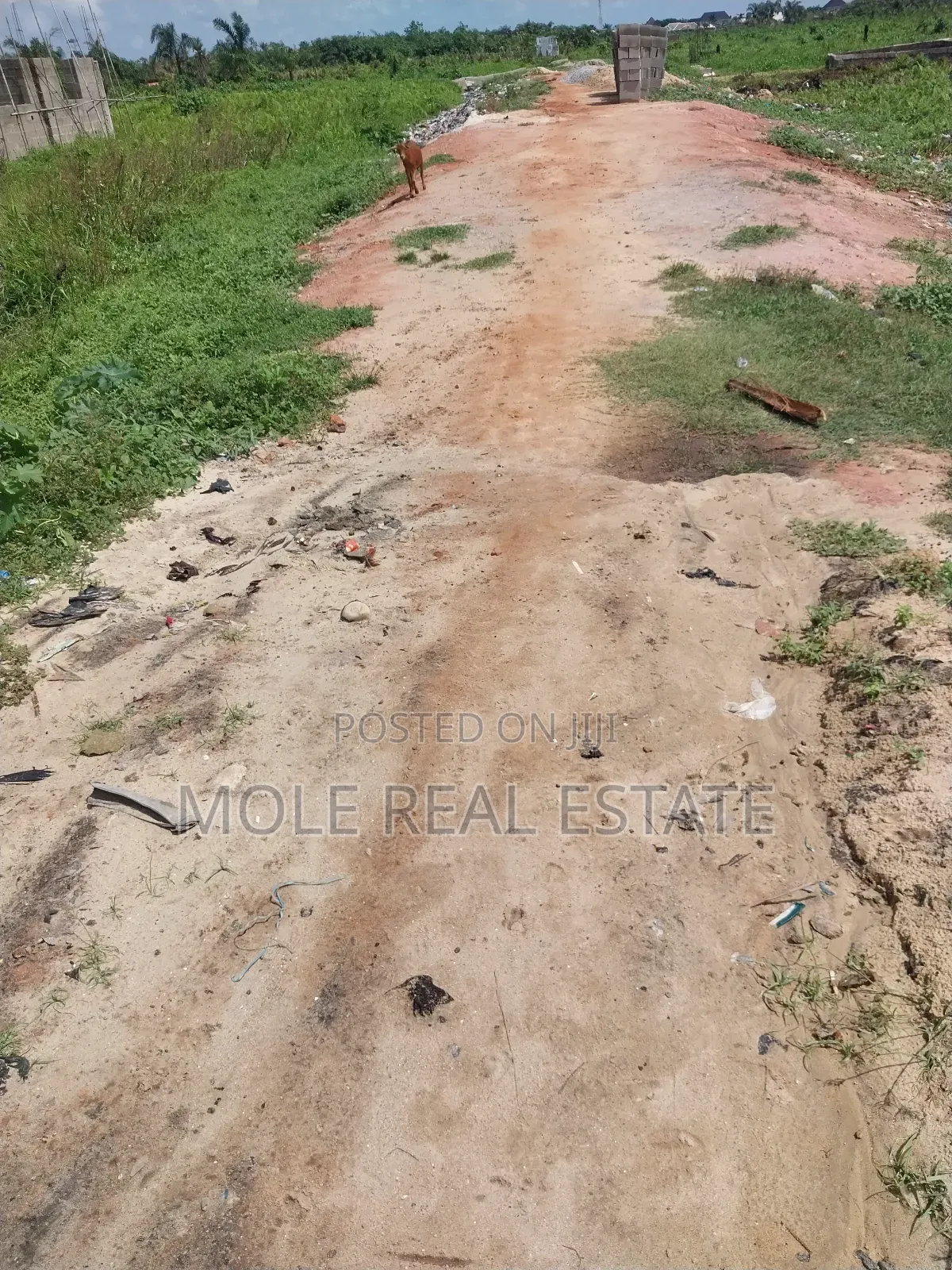 Filling Station 4 Sale Itire Road Mushin Lagos