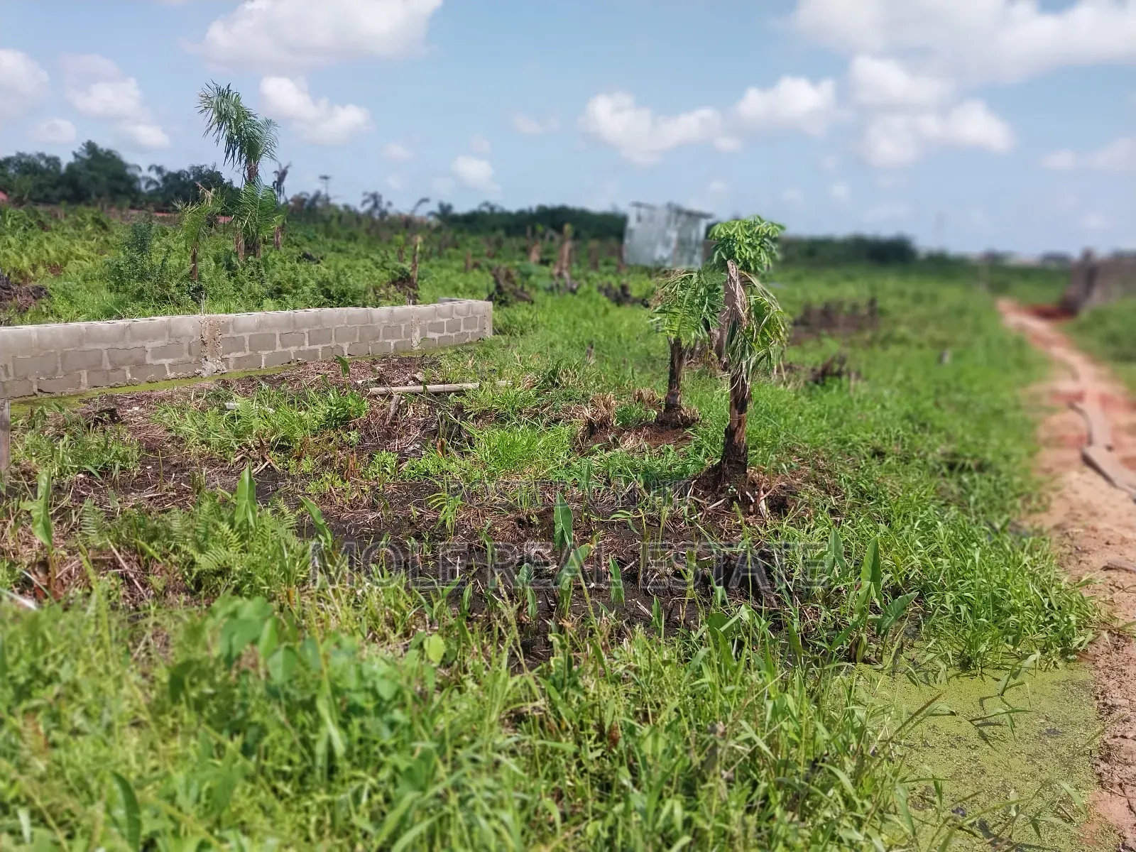 Masive Acres of Land by Mma Airport Iikeja