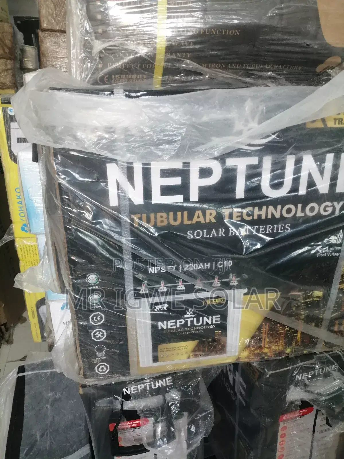 Neptune Tubular Battery