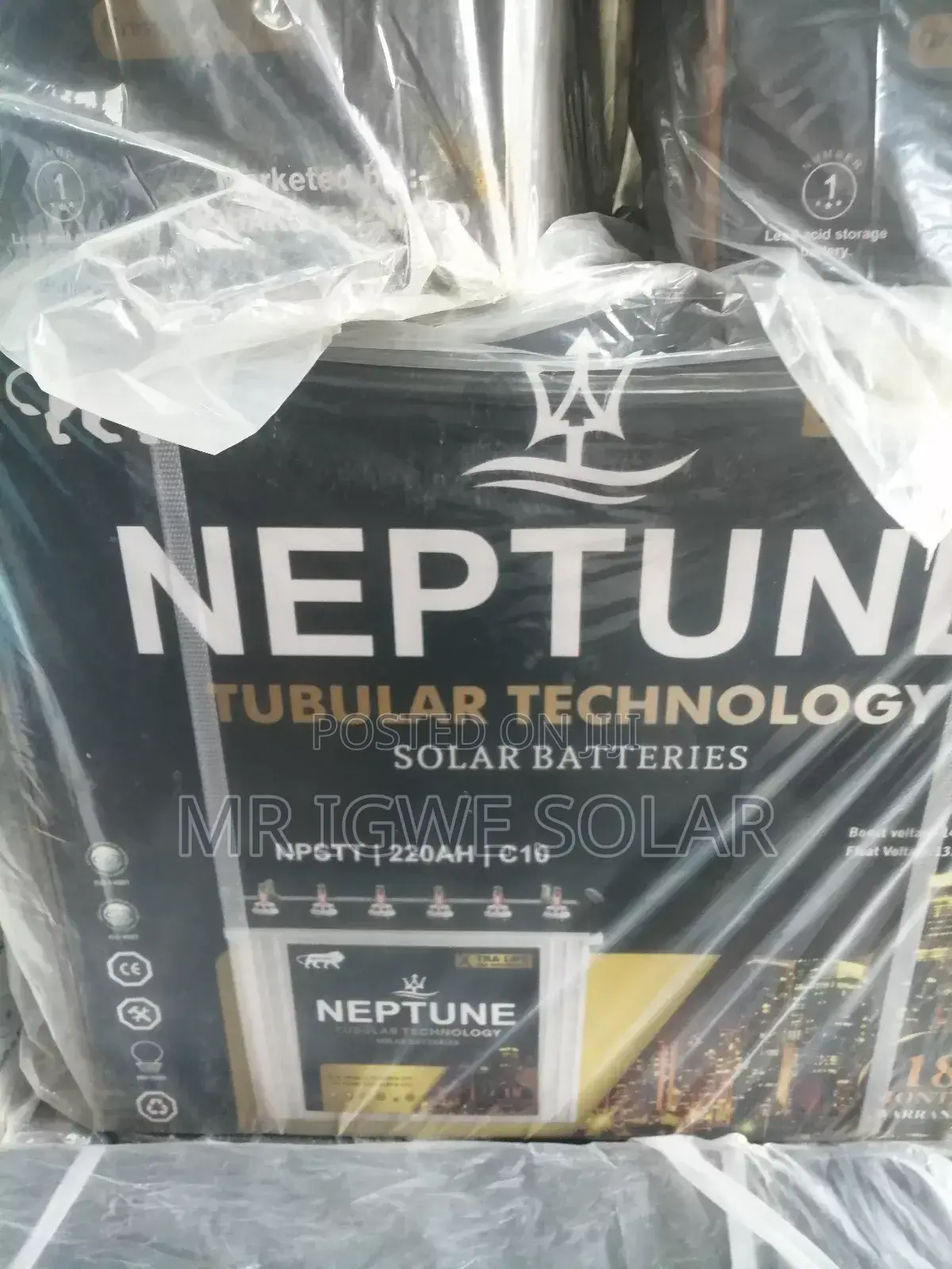 Neptune Tubular Battery