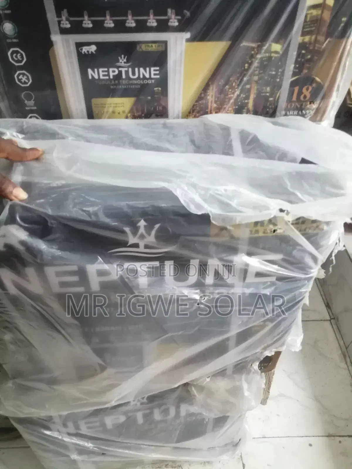 Neptune Tubular Battery