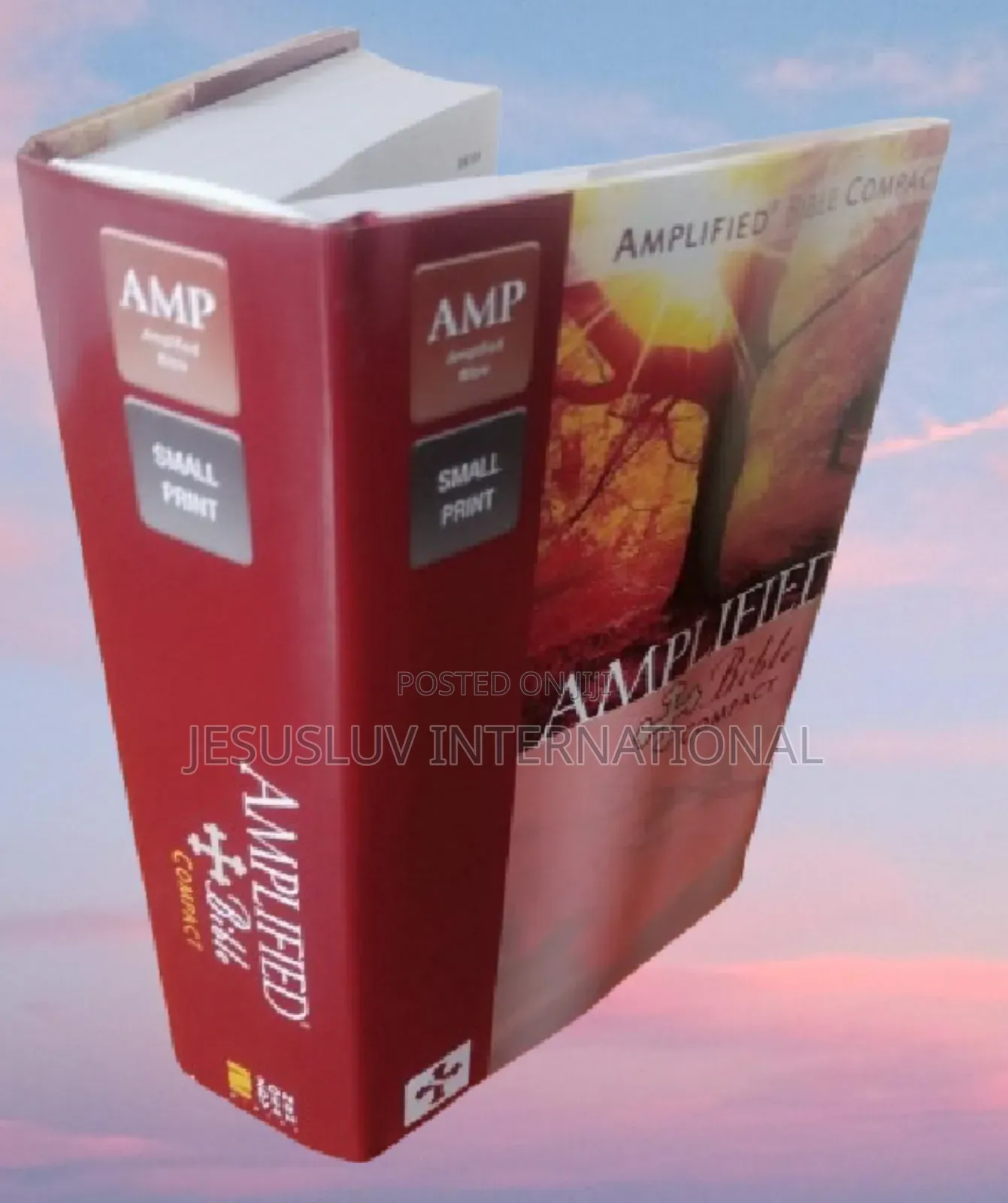 Amplified Bible Compact,Concordance With 25,000 Entries