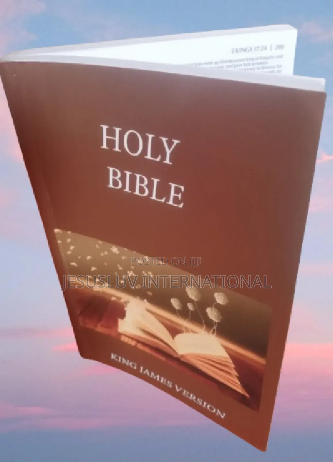 Holy Bible Kjv, Large Comfort Print (Good for Gift)