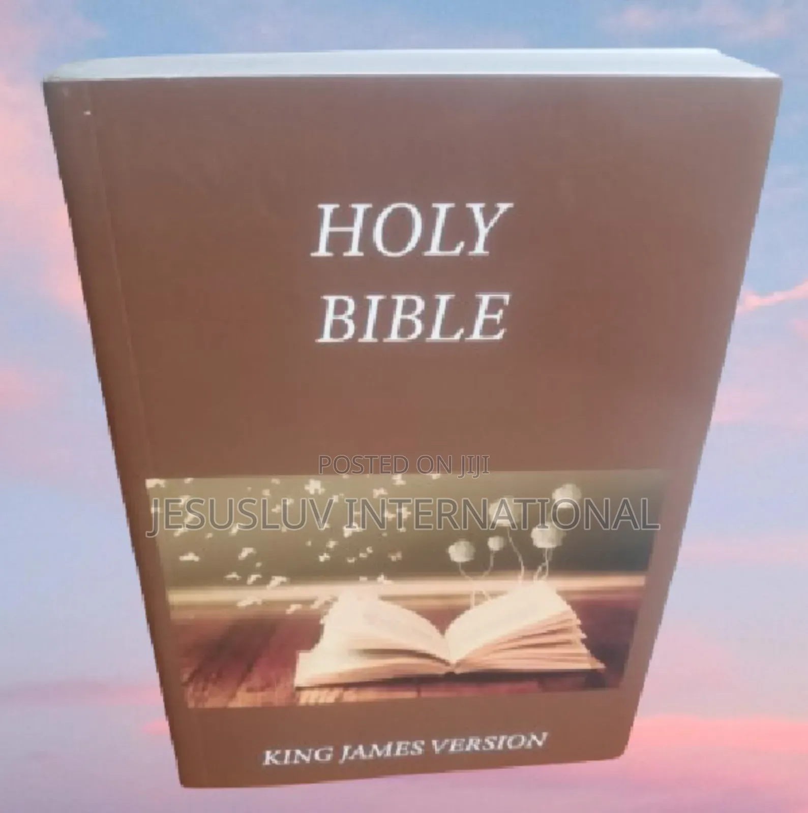 Holy Bible Kjv, Large Comfort Print (Good for Gift)