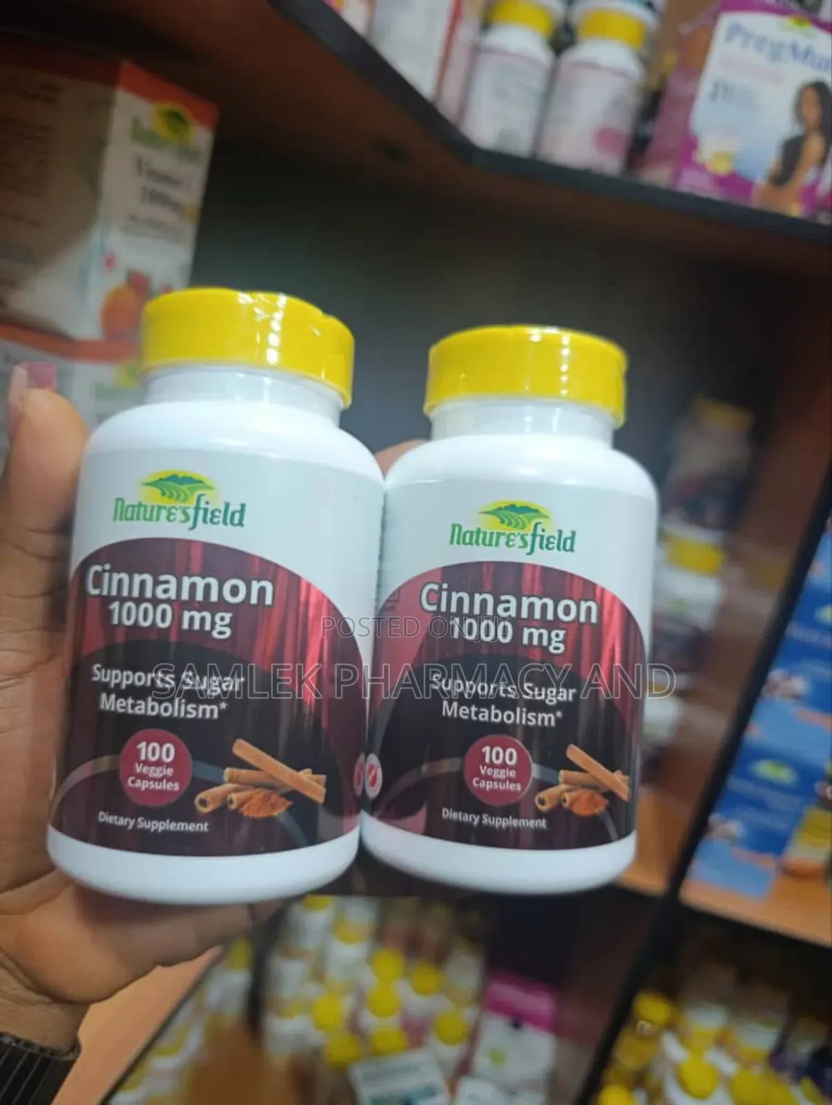 Nature's Field Cinnamon 1000mg- 100vegcaps