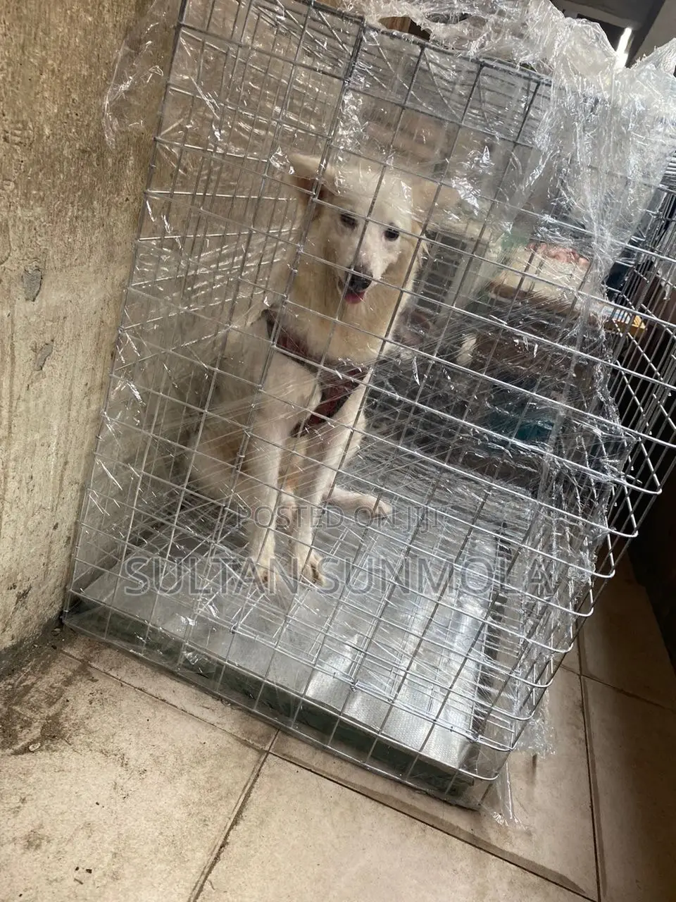 Size 4 Dog Cage for Small/Medium Dogs
