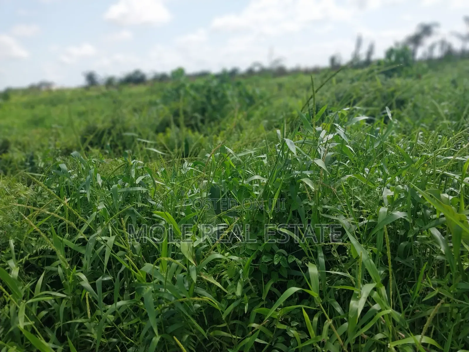 10 Plots in Block Ajah by Lagos Buisnes School Fenced Gated