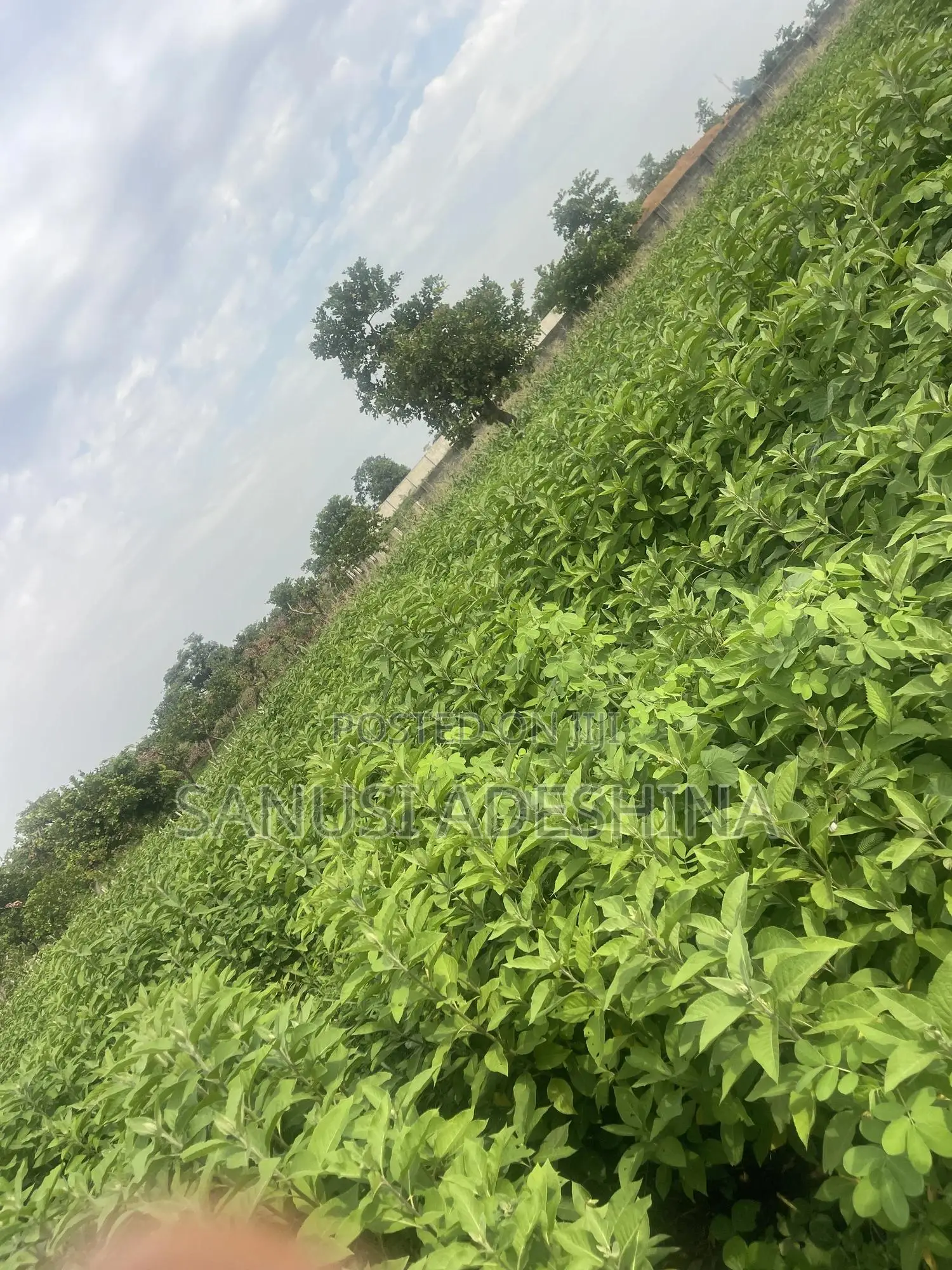 3500sqm of Residential Land at Life Camp Dape FCT Abuja Nige
