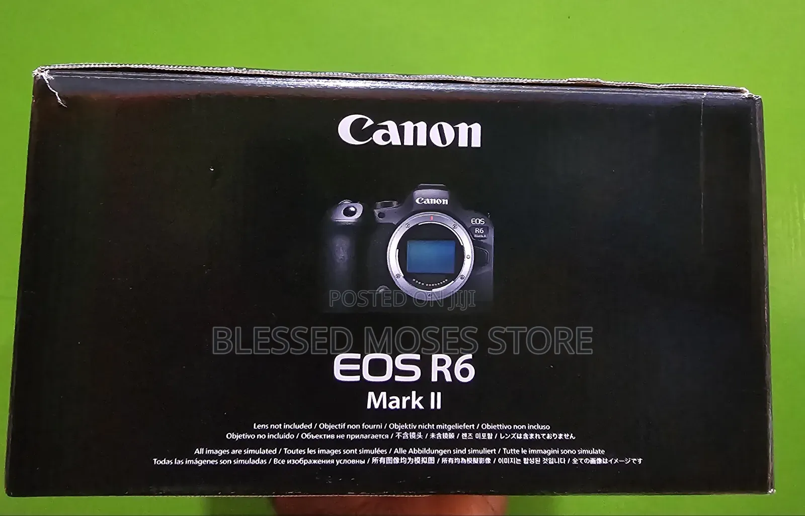 Canon Eos R6ii Camera