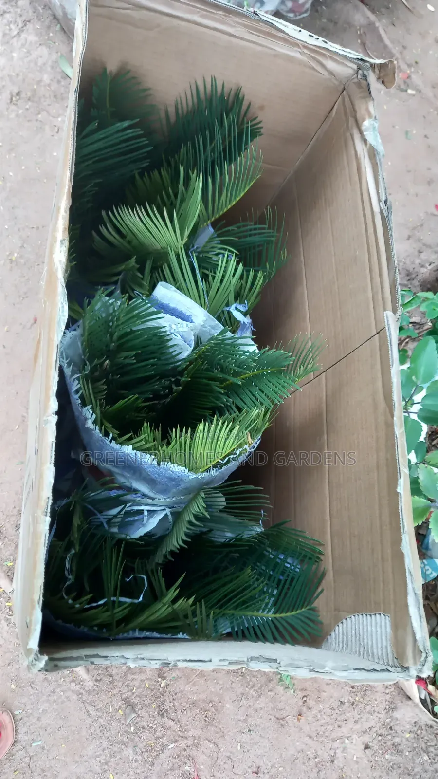 Plants Supply