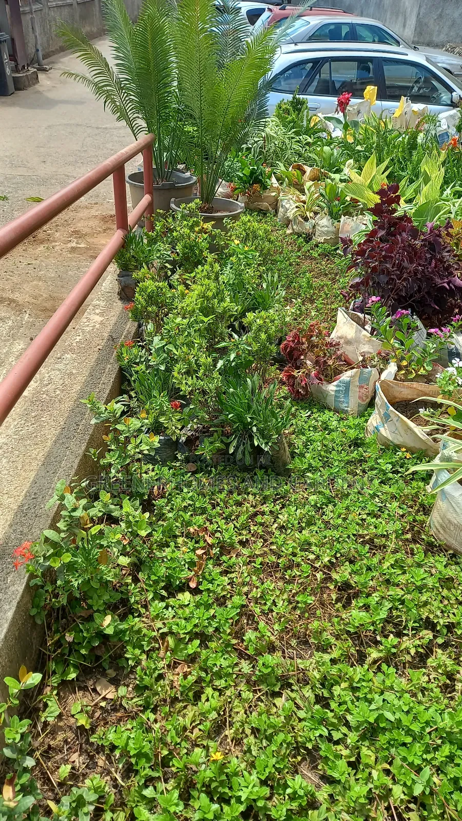 Plants Supply