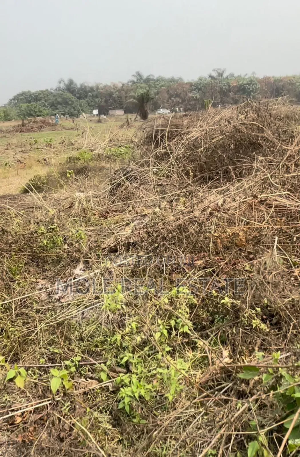 829sq. Plot Ocean Bay Estate Orchid Fully Developed Area