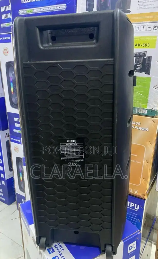 Ailipu Wireless Rechargeable Speaker With Double Mic