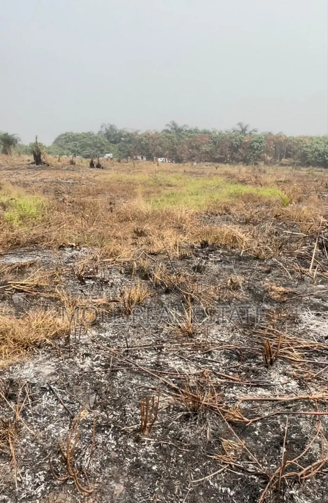 1200sqm Imason Community Ibeju Leki Lagos