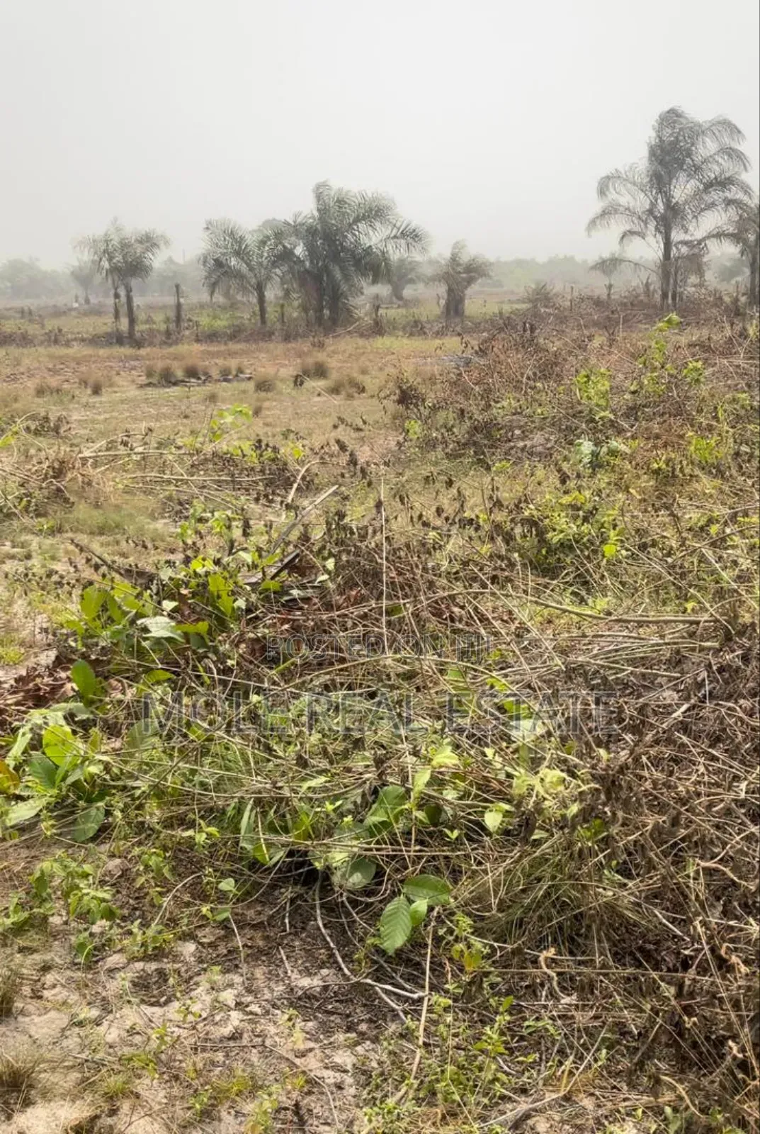 1200sqm Imason Community Ibeju Leki Lagos