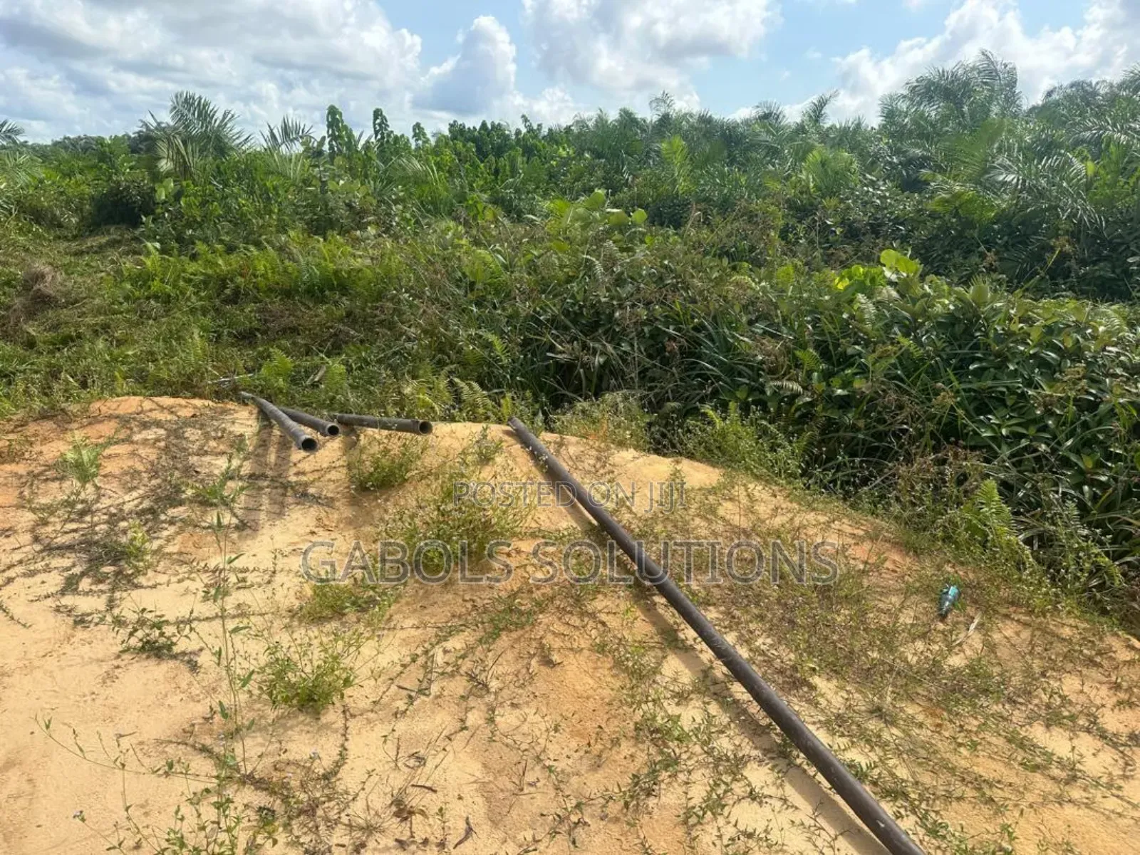 Sand Search Survey