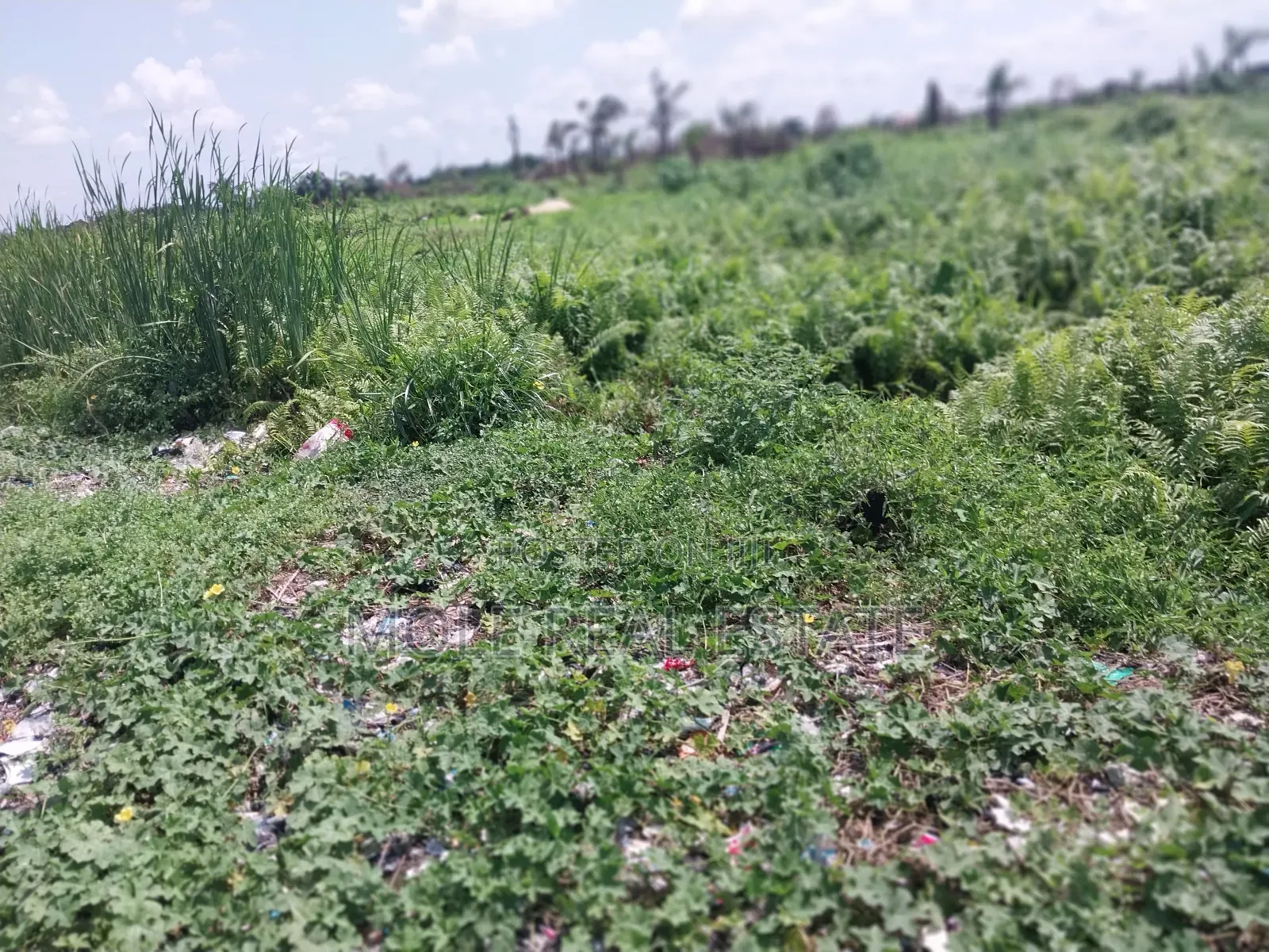117 Plots Facing Leki Epe Way Awoyaya