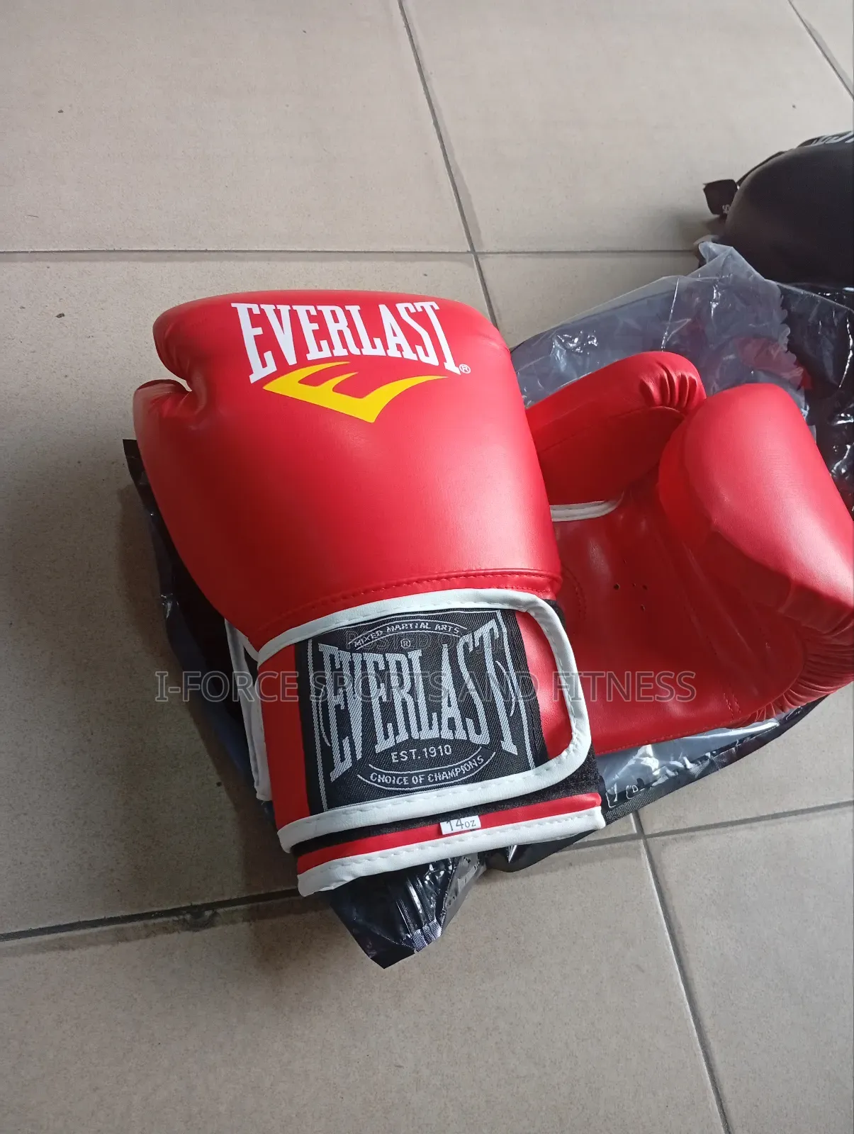 Everlast Boxing Gloves