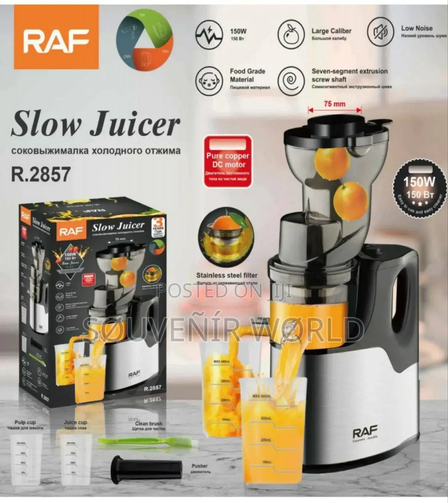 Raf Slow Juicer