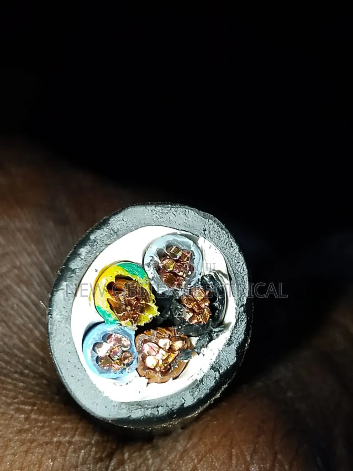 Armored Cable