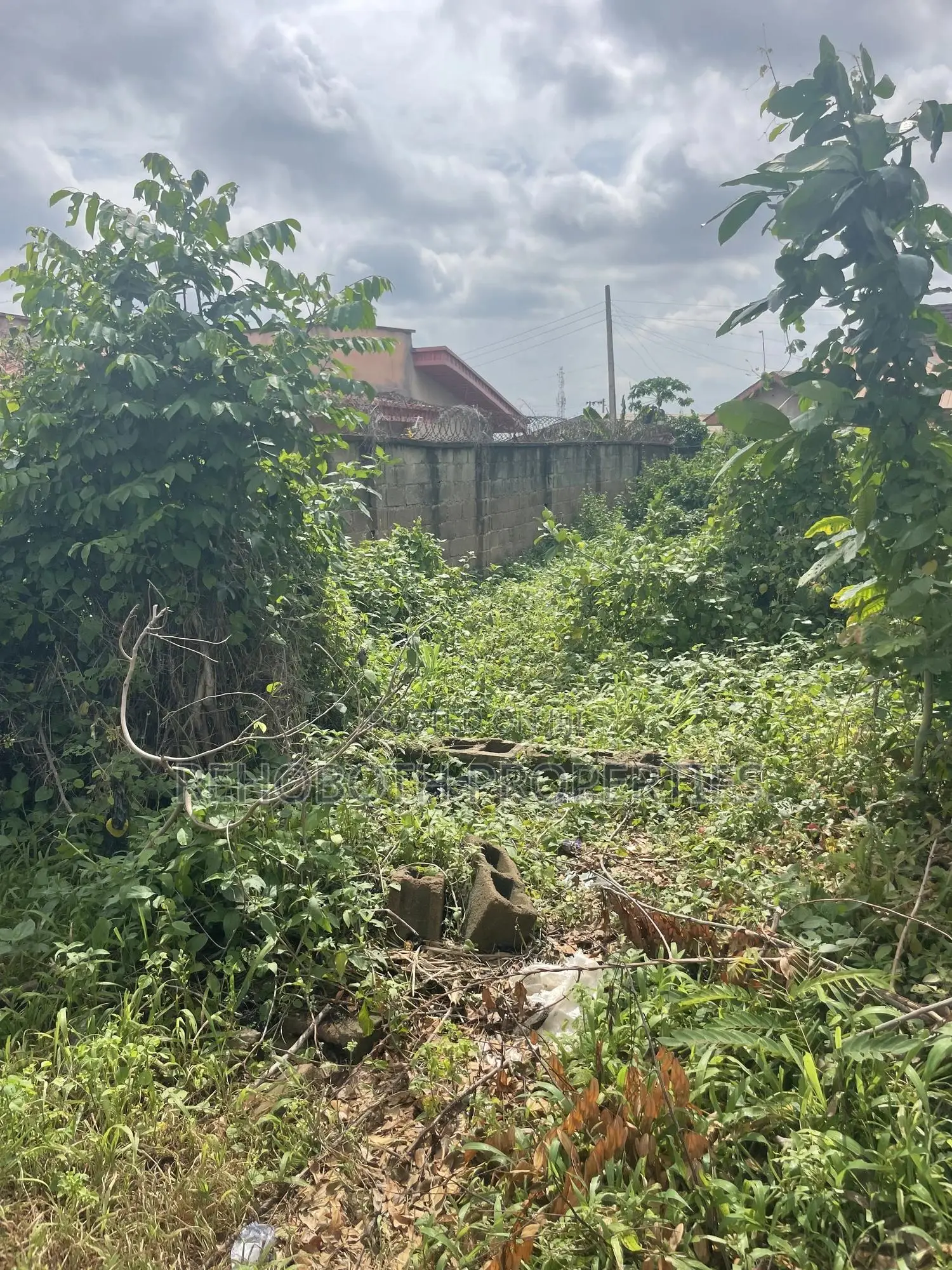 Ful Plot of Land at Mashalla Elebu