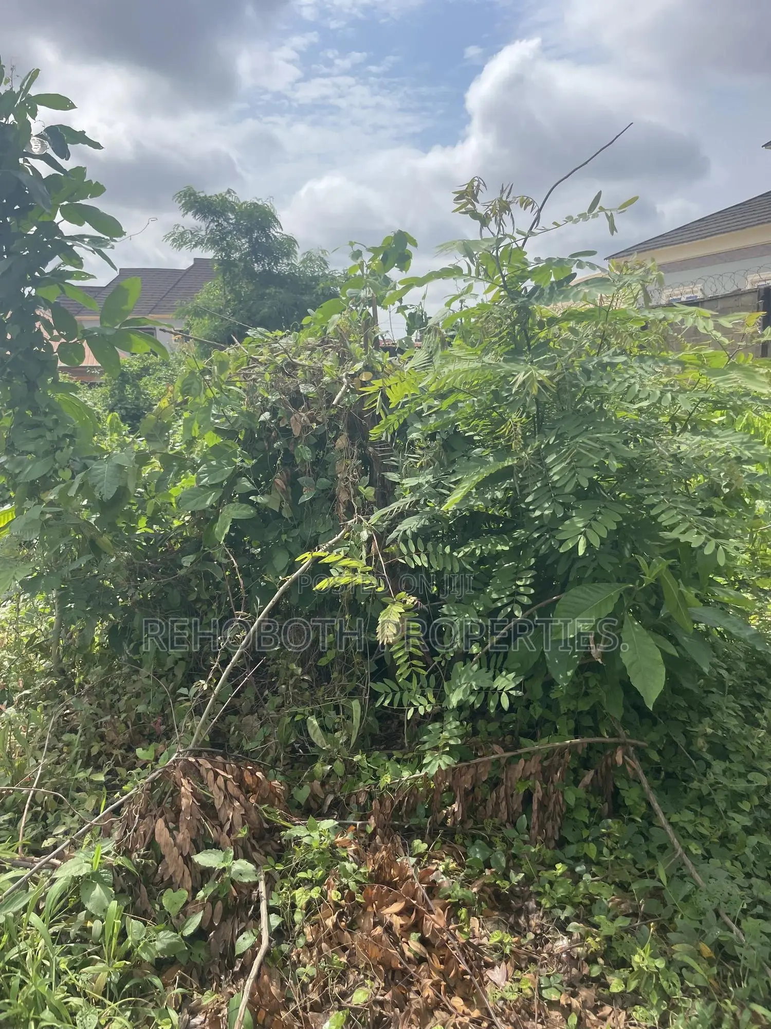 Ful Plot of Land at Mashalla Elebu