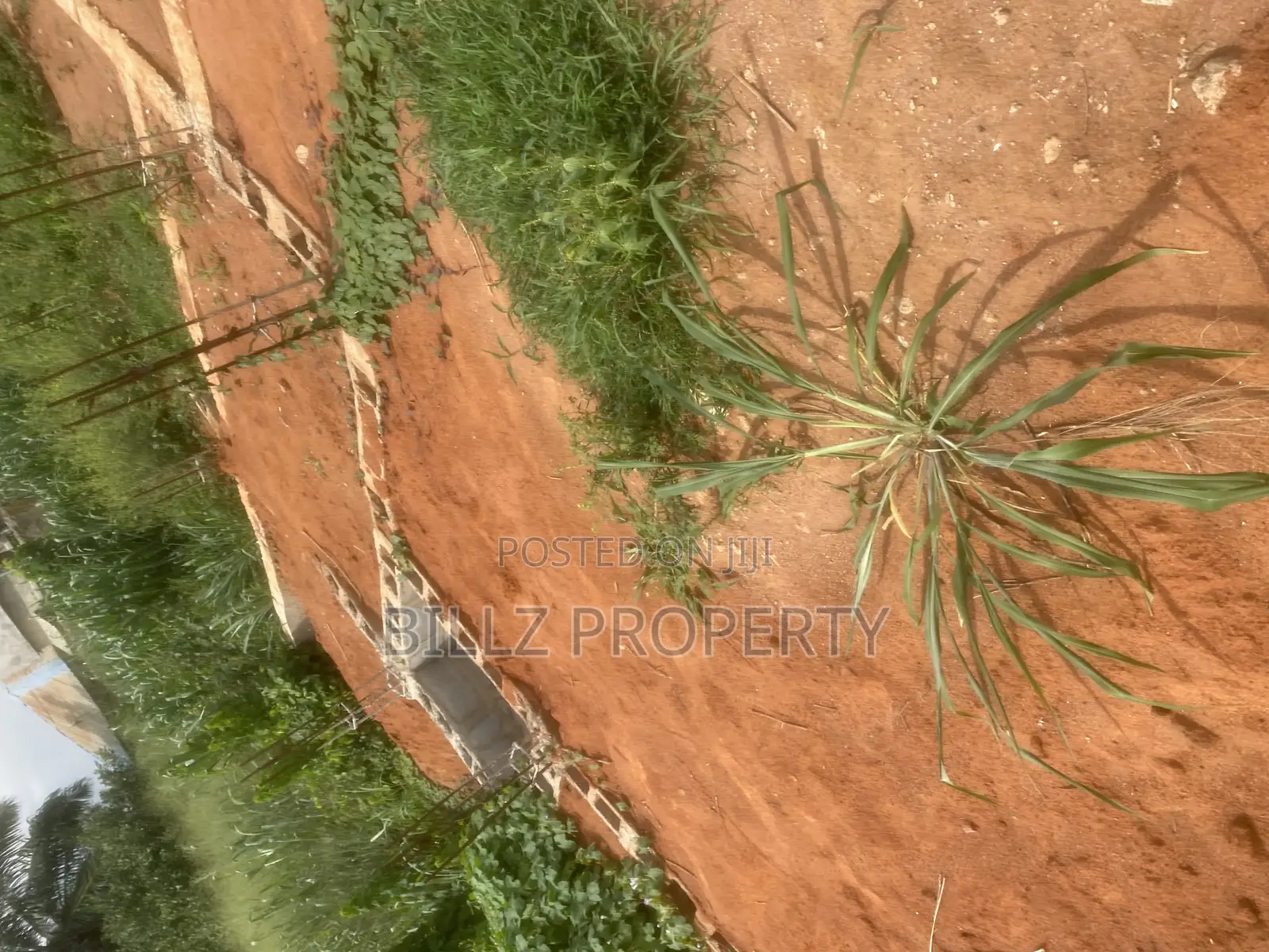 A Complete Half Plot of Land in a Serene and Mini Estate