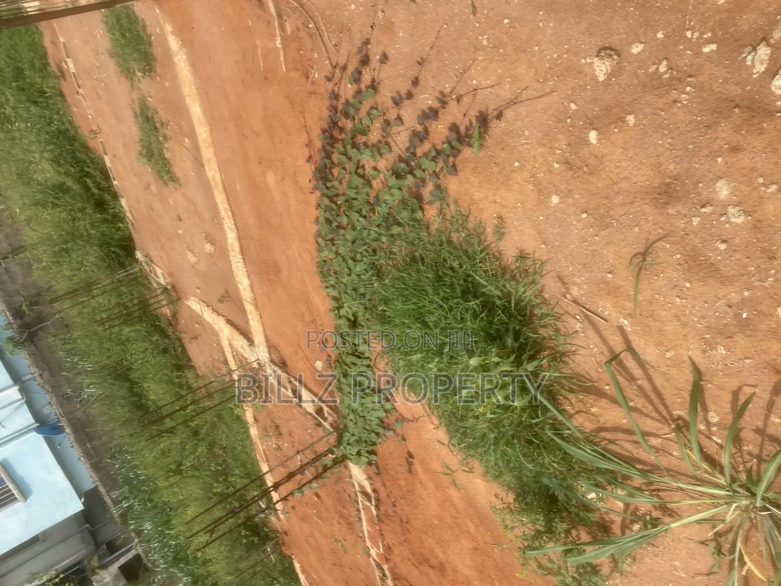 A Complete Half Plot of Land in a Serene and Mini Estate