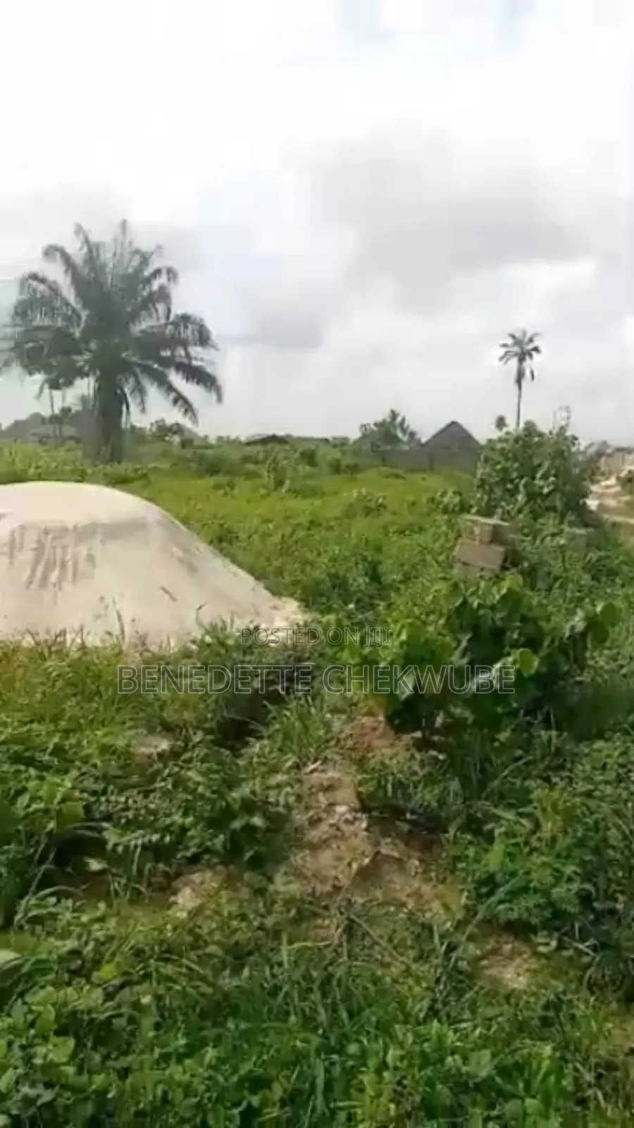 For Sale One Plot of Land