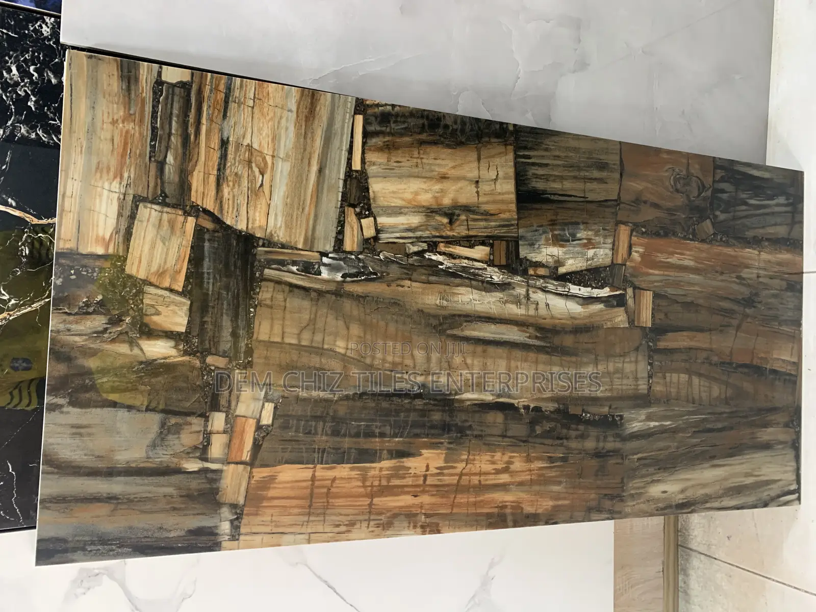 Minic Petrified Wood ( India Tiles)