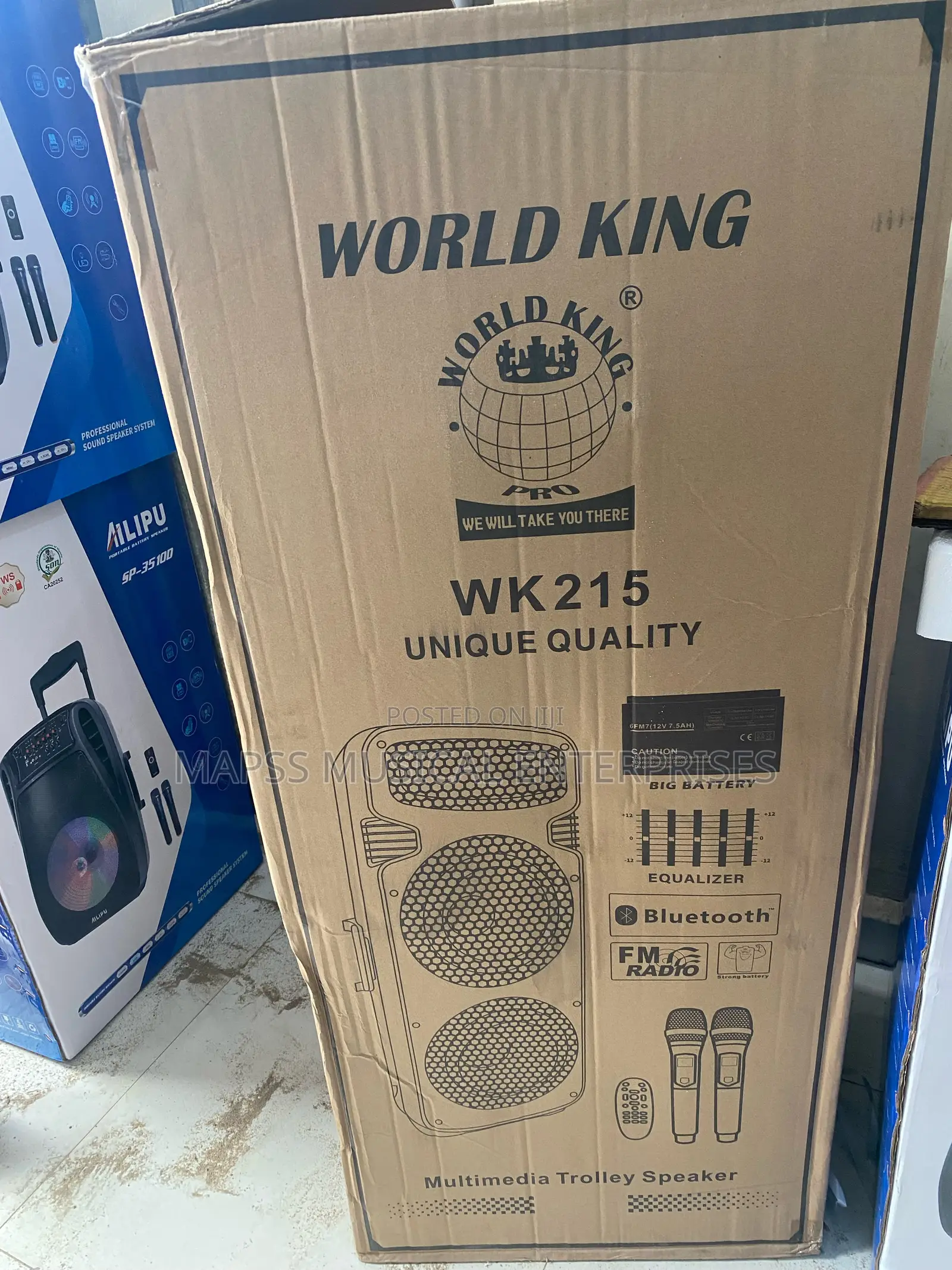 Worldking Wk215 Public Address System