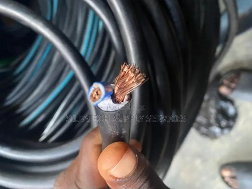 Original (10mm*2c) Flex Electric Cable